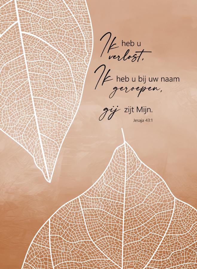 Productafbeelding: voorkant van Ik heb U verlost
