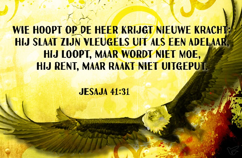 Productafbeelding: voorkant van Wie hoopt op de Heer Jesaja 40:31