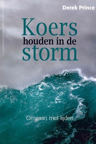 Productafbeelding: voorkant van Koers houden in de storm