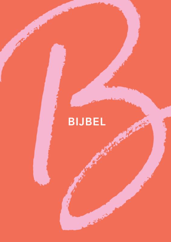 Productafbeelding: voorkant van NBV21 Tienerbijbel