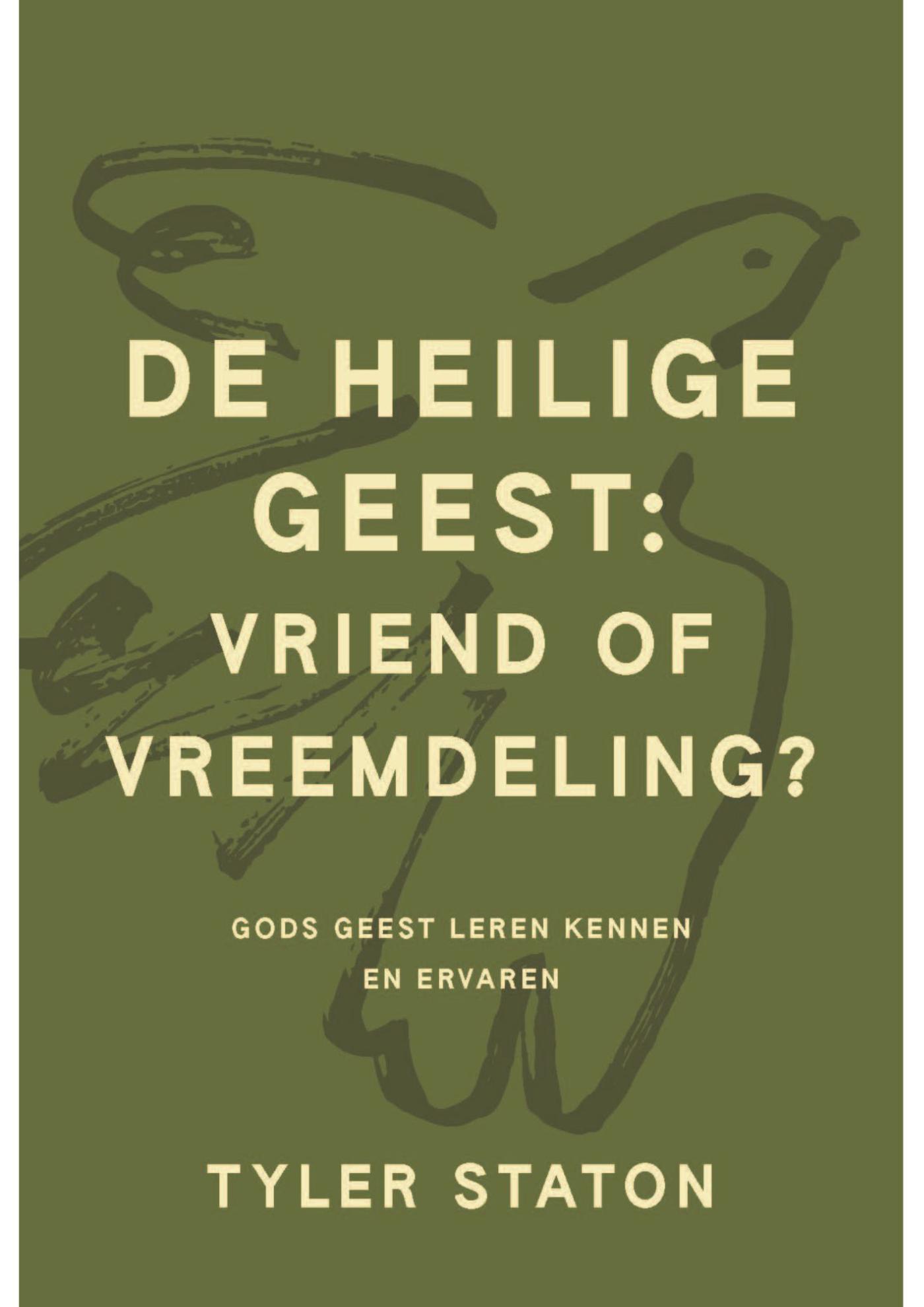 Productafbeelding: voorkant van De Heilige Geest: vriend of vreemdeling?