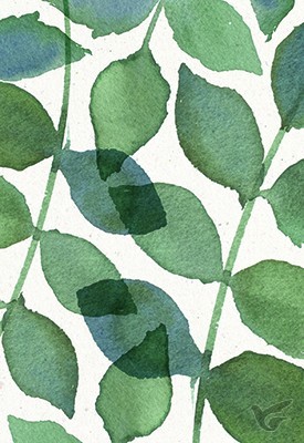 Productafbeelding: voorkant van Wenskaart blanco