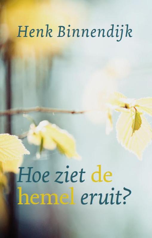 Productafbeelding: voorkant van Hoe ziet de hemel eruit?