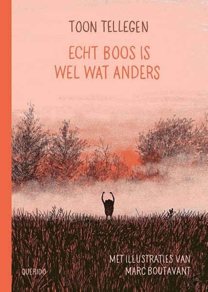 Productafbeelding: voorkant van Echt boos is wel wat anders