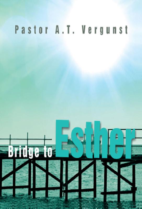 Productafbeelding: voorkant van Bridge to esther