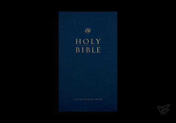 Productafbeelding: voorkant van ESV - Church Bible LP